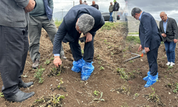 AKP'li vekil çiftçi için dua edip ayakkabısına poşet geçirdi