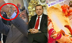 Erdoğan'dan vekillerine "ıstakoz" ve "Rolex" tepkisi: Akıl edilemeyecek şeyler değil