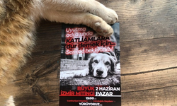 İzmir mitinge çağrı: Hayvanları sistemin kanlı ellerine bırakmayacağız