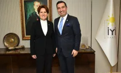 Meral Akşener'e yakın isim o iddiayı yanıtladı: Devlette göreve hazır