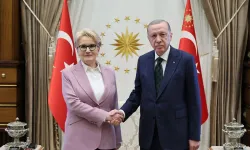 İddia: Akşener oğlu için Erdoğan’dan ne istedi?