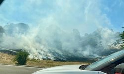 İzmir Yeşildere yolunda yangın paniği