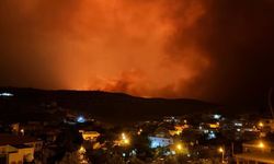 Diyarbakır ve Mardin arasındaki ekili alanlarda yangın: Alevler yerleşim yerine sıçradı, çok sayıda ölü ve yaralı var
