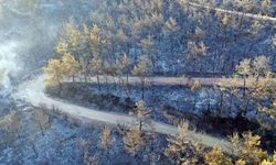 İzmir'deki orman yangınları kontrol altına alındı: Gözaltılar var