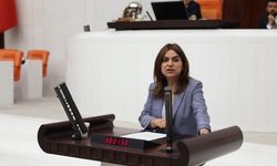 Koçyiğit, “AKP, Diyarbakır'da yapılacak her türlü gaspın zeminini oluşturmaya çalışıyor”