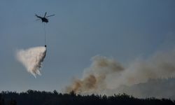 İzmir'in Bornova'da ormanlık alanda çıkan yangına havadan ve karadan yoğun müdahale
