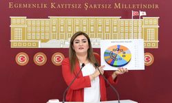 Sevda Erdan Kılıç: Bu yılın ilk 6 ayında aile içi cinayetlerde 24 çocuk hayatını kaybetti