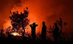 Sinop'ta çıkan orman yangını kontrol altına alındı