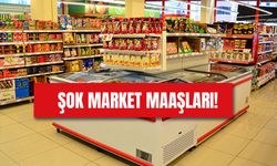 Şok Market Personel Maaşları 2024: Çalışma Şartları!