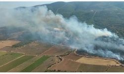 Manisa’da yine orman yangını
