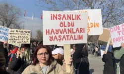 CHP, Katliam Yasası'nı AYM'ye Taşıyor