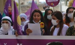 HDP eski  Dargeçit İlçe Eşbaşkanı Hatice Gevcan, kesinleşen hapis cezası nedeniyle tutuklandı