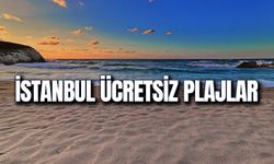 İstanbul Ücretsiz Plajlar! İstanbul'da Hangi Plajlar Ücretsiz? Nerede Denize Girilir?