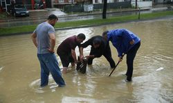 Ordu'da etkili olan yağış, su baskınına neden oldu