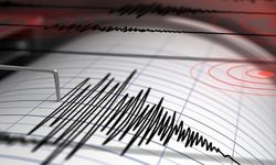 Bitlis'te 4.5 büyüklüğünde deprem!