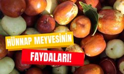 “Ölümsüzlük Meyvesi” Olarak da Biliniyor! Hünnapın Faydaları Nelerdir?