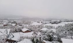 Artvin'de kardan kapanan köy yolları ulaşıma açıldı: Yaylalar beyaz örtüye büründü