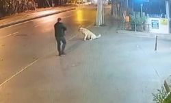 Köpeğe silah doğrultmuştu: 9 ayrı suç kaydı çıktı