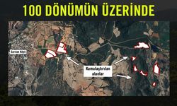 TEMA Vakfı'ndan Sarıalan Altın Madeni Projesine itiraz: Acele kamulaştırma kararı geri çekilmeli, ekosistem korunmalı