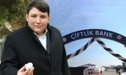 Çiftlik Bank davasında mahkeme ara kararını açıkladı: İki kişi tahliye edildi