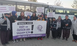 DİSK Genel İş Manisa Şubesi'nden 25 Kasım açıklaması: Eşit ve özgür bir yaşam için mücadelemiz sürecek!