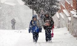 Birçok il ve ilçede kar yağışı ve olumsuz hava koşulları nedeniyle eğitime ara verildi