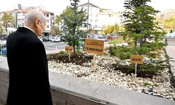 Bahçeli bu kez, 'Biz Kardeşiz' temalı 3 ağaç dikti