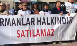 Çanakkale Orman Müdürlüğü'ne çağrı: Kaz Dağları'ndaki orman katliamını durdurun!