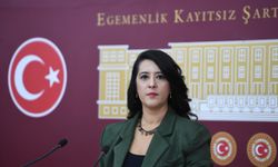 Sevda Karaca: Moto kuryelik faaliyeti çok tehlikeli işler kapsamına almalıdır