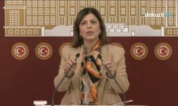 Meral Danış Beştaş: Kadının tek kimliğinin annelik olduğu tezine ve iddialarına karşıyız