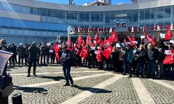 Şahinler Köyü halkı doğasına ve zeytinliklerine sahip çıkıyor