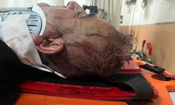 Erciş'te kızını şiddetten koruyan baba öldüresiye dövüldü!
