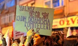 Kadın Dayanışma Komiteleri: İki elimiz yakanda Ali Yerlikaya