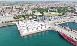 Mahkeme kararlarına uymayan Ceyport Limanı’nın ruhsatsız faaliyet gösterdiği belirlendi