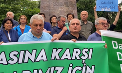 Enerji ve maden alanlarına yönelik düzenlenecek yasa, Ege'de zeytine, Karadeniz'de fındık ve çaya zarar
