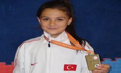 Şanlıurfalı 10 yaşındaki karateci Arin Vefa, Balkan şampiyonu oldu