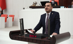 CHP’li Başevirgen'den zeytin yasasına tepki: Halkı yok sayan bu torba yasayı geri çekin