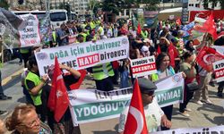 Tokat'ta yurttaşlar, kutsal ormanları için mücadeleyi sürdürüyor