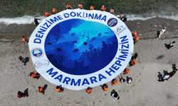 Mudanya'dan çağrı: Denizimize dokunma, Marmara hepimizin