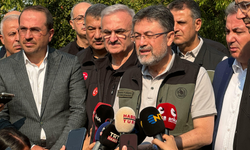 Kocaeli'ndeki yangın kontrol altına alınırken Çanakkale Gelibolu'daki yangına müdahale ediliyor