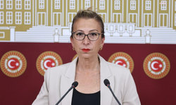 Süreyya Öneş Derici: Biz bu ülkenin doğasını, köylüsünü, zeytinini sermayeye yem ettirmeyeceğiz
