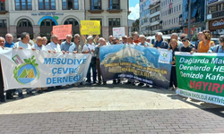 Ordu'da çevre örgütleri: Bugün susarsak yarın geç olacak
