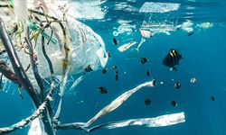 Plastiksiz Türkiye Platformu: Türkiye'yi çevresel adaletin gerekliliklerini yerine getirmeye çağırıyoruz