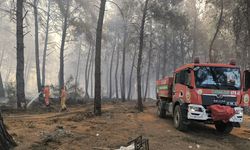 Antalya'da ormanlık alanlarda çıkan yangınlara müdahale ediliyor