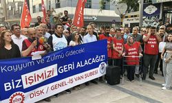 Emek ve Demokrasi Platformu, Van kayyımının 223 işçiyi işten çıkarmasını protesto etti