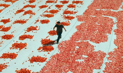 Türkiye'nin Oscar adayı "Hemme'nin Öldüğü Günlerden Biri" filmi oldu