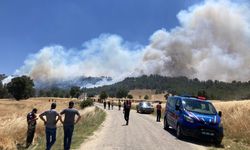 Kütahya'da ormanlık alanda çıkan yangına müdahale ediliyor