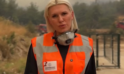 Bilecik Belediye Başkanı Subaşı: Yangın başka bölgelere yayılmaya devam ediyor