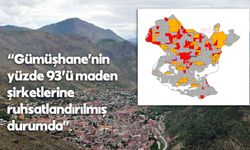 Polen Ekoloji Enstitüsü Eş Başkanı Yıldız: Gümüşhane’nin yüzde 93’ü maden şirketlerine ruhsatlandırılmış durumda