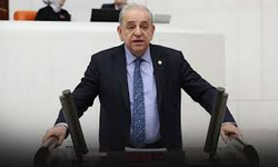 CHP’li Nalbantoğlu: Somut bulgu olması için ormanların tamamının yanması mı gerek?